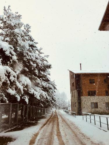 Apartamento The Nest In Bakuriani