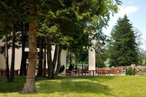 Hotel Auroom Bakuriani Resort