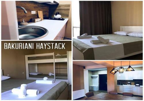 Apartamento Bakuriani Haystack N67