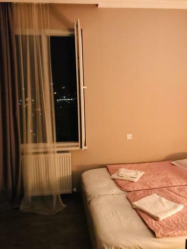 Hostal Check In Borjomi