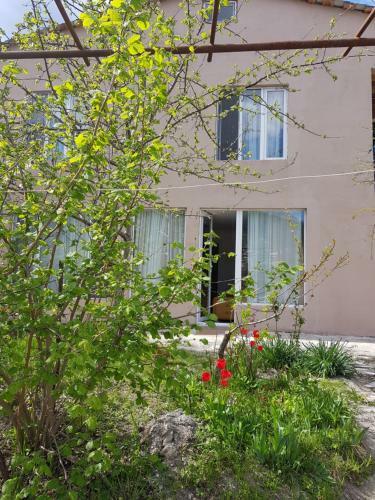 Hostal Check In Borjomi