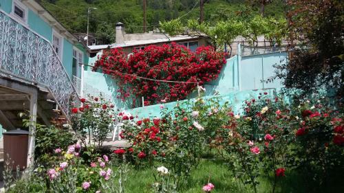Hostal Guest House Green Rose