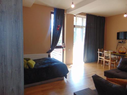 Bakuriani City Apartment 201