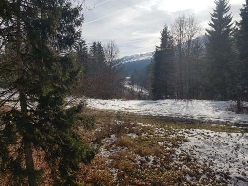 Apartamento Appartment In Bakuriani
