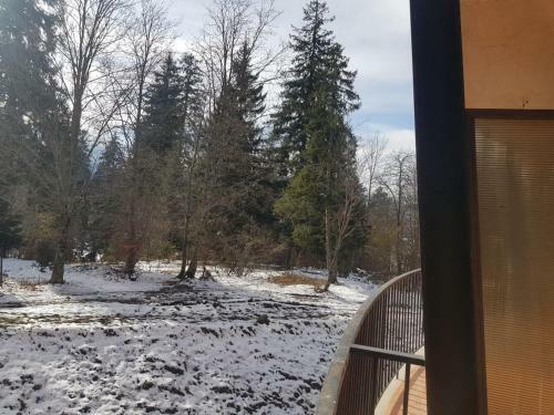 Apartamento Appartment In Bakuriani