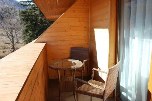 Apartamentos Bakuriani Valley