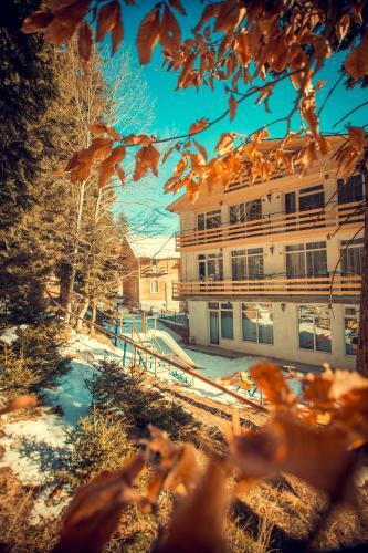 Hostal Boutique Hotel Shale