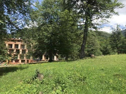 Bakuriani The Valley Apartment 114