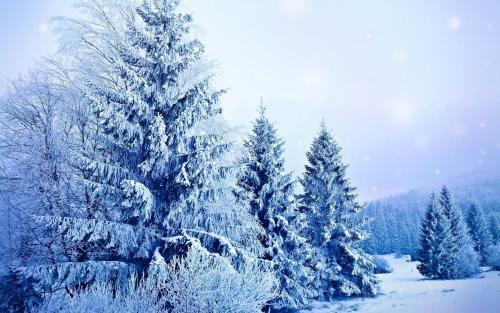 Hostal Guesthouse Mara