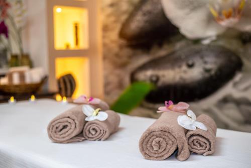 Orbi Bakuriani Aparthotel 905
