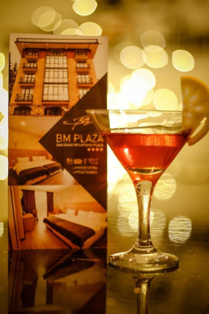 Hotel Bm Plaza