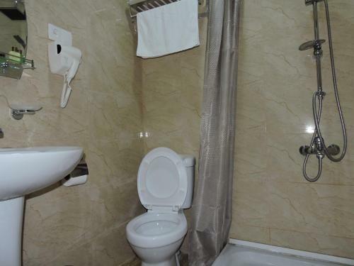 Hotel Dedoplisa