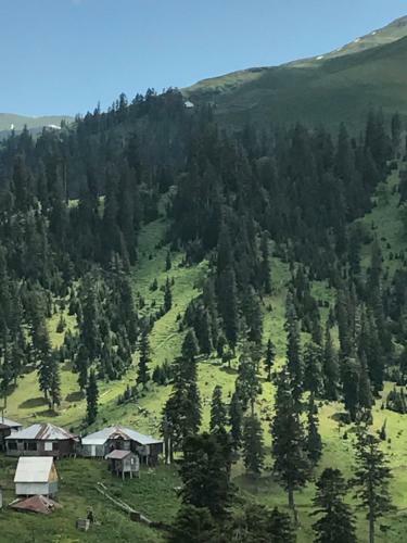 Gornii Kurort Bakhmaro