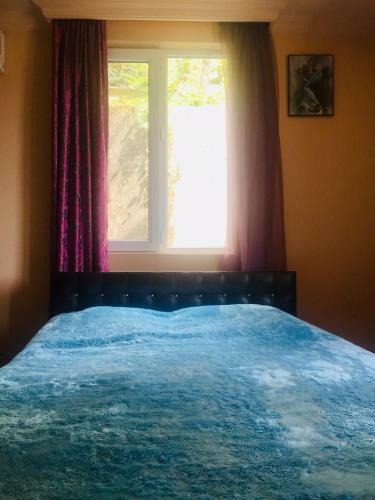 Hostal Guest House Shorena