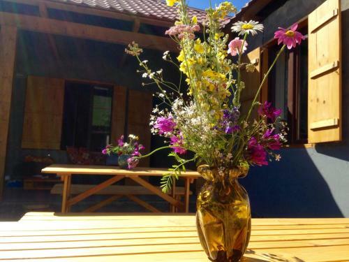 Hostal Sno House Kazbegi