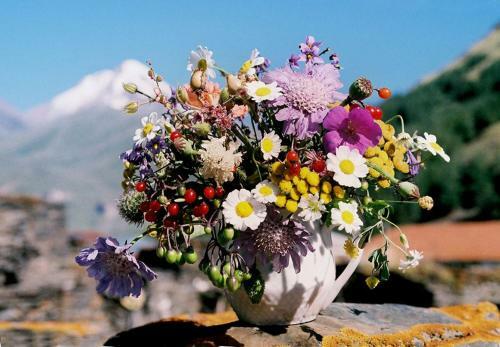 Hostal Sno House Kazbegi