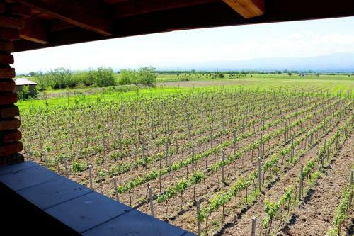 Barnavelli Hotel And Wine Cellar