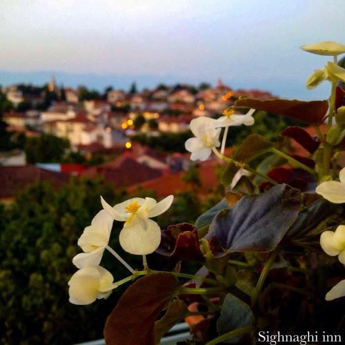 Hostal Sighnaghi Inn
