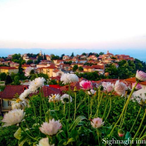 Hostal Sighnaghi Inn