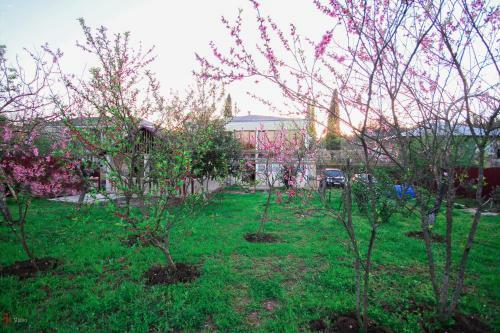 Hostal Green Garden Guest House