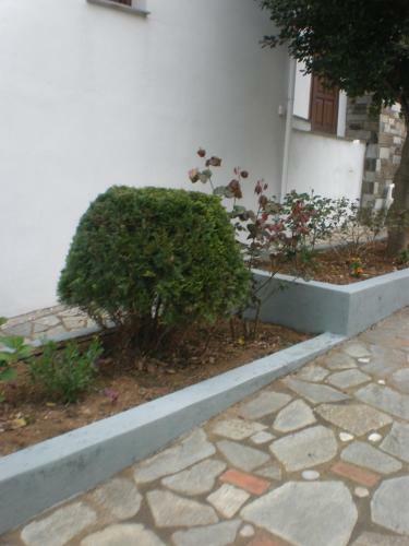 Apartamento Anatoli