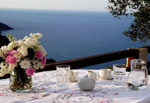 Villa Rose