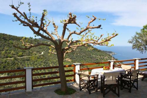 Villa Rose