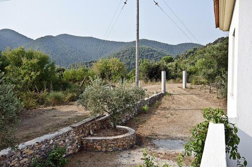 Villa Rose