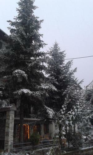Hostal Guesthouse Alexandra