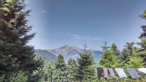 Hostal Valentini Guesthouse