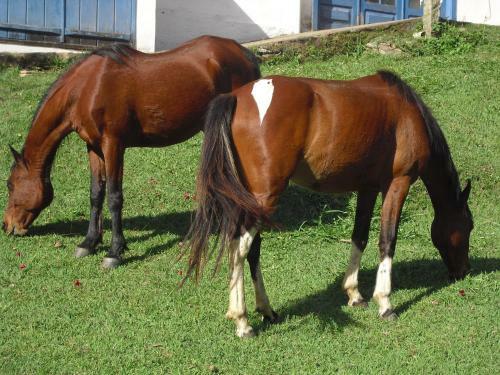 Agroturismo Fazenda Santo Ant�nio