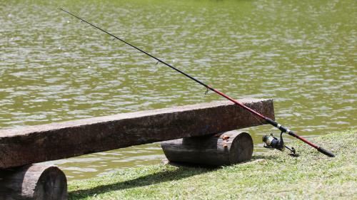 Agroturismo Fazenda Santo Ant�nio
