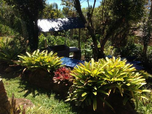 Hostal Pousada The Rosebud