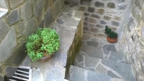 Apartamento Lamprou