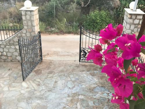 Villa Assariya | Korfos