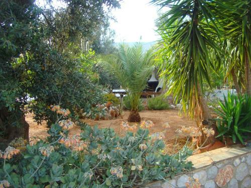 Villa Assariya | Korfos