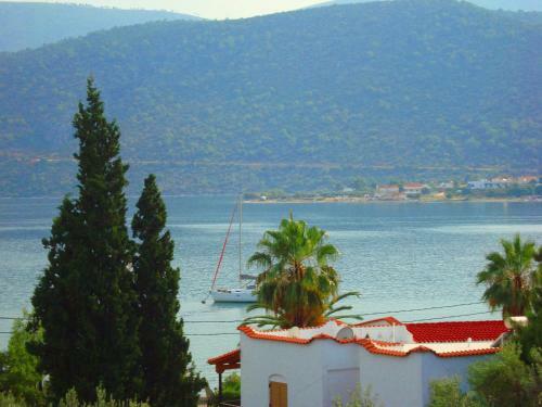 Villa Assariya | Korfos
