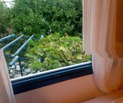Hostal Sofia Rooms