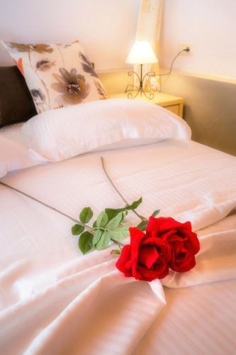 Apartamento Villa Elpis 2