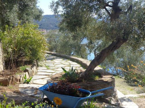 Apartamento Sea Front