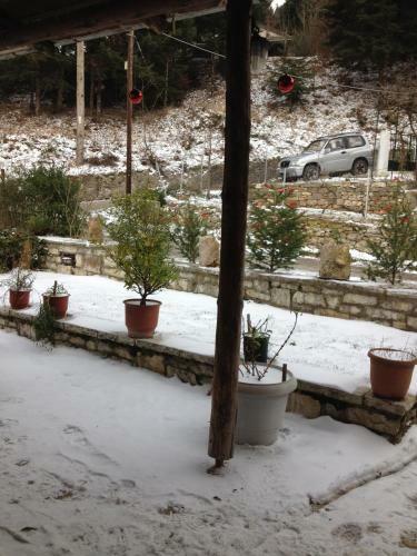 Hostal Guesthouse Gonia