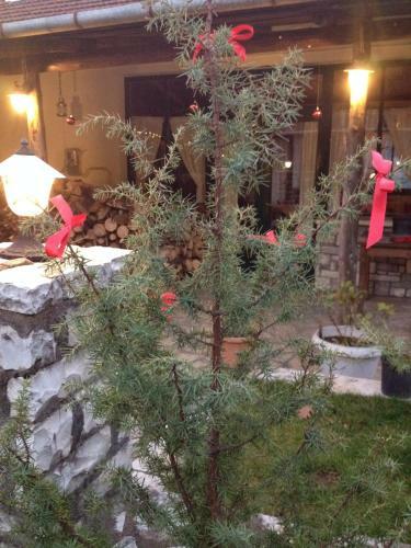 Hostal Guesthouse Gonia