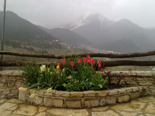 Hotel Rizoma Guesthouse