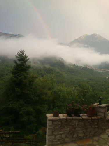 Hotel Rizoma Guesthouse