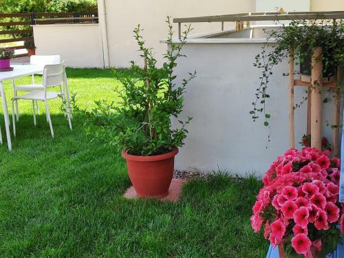 Amphipolis Deluxe Apartments