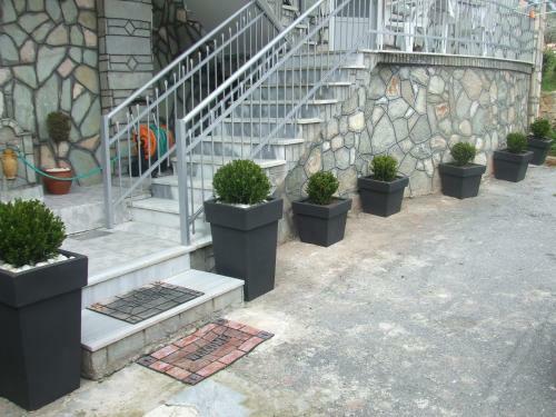 Hostal Guesthouse Tsoka