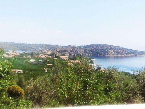 Vip House On The Hill 3