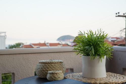 Palio Grey Apartments
