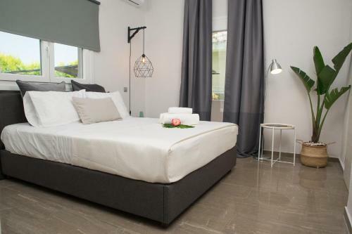 Palio Grey Apartments