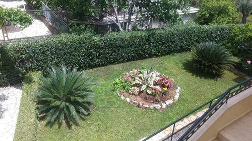 Aparthotel Hotel Patelis